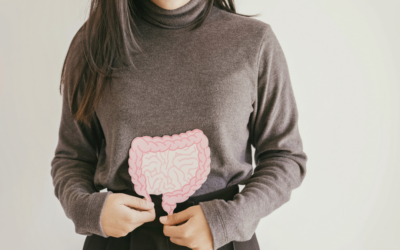 Why Gut Health Is Vital for Your Well-Being