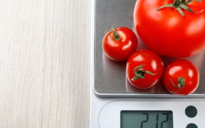 The Kitchen Scale | Benefits, Uses & More
